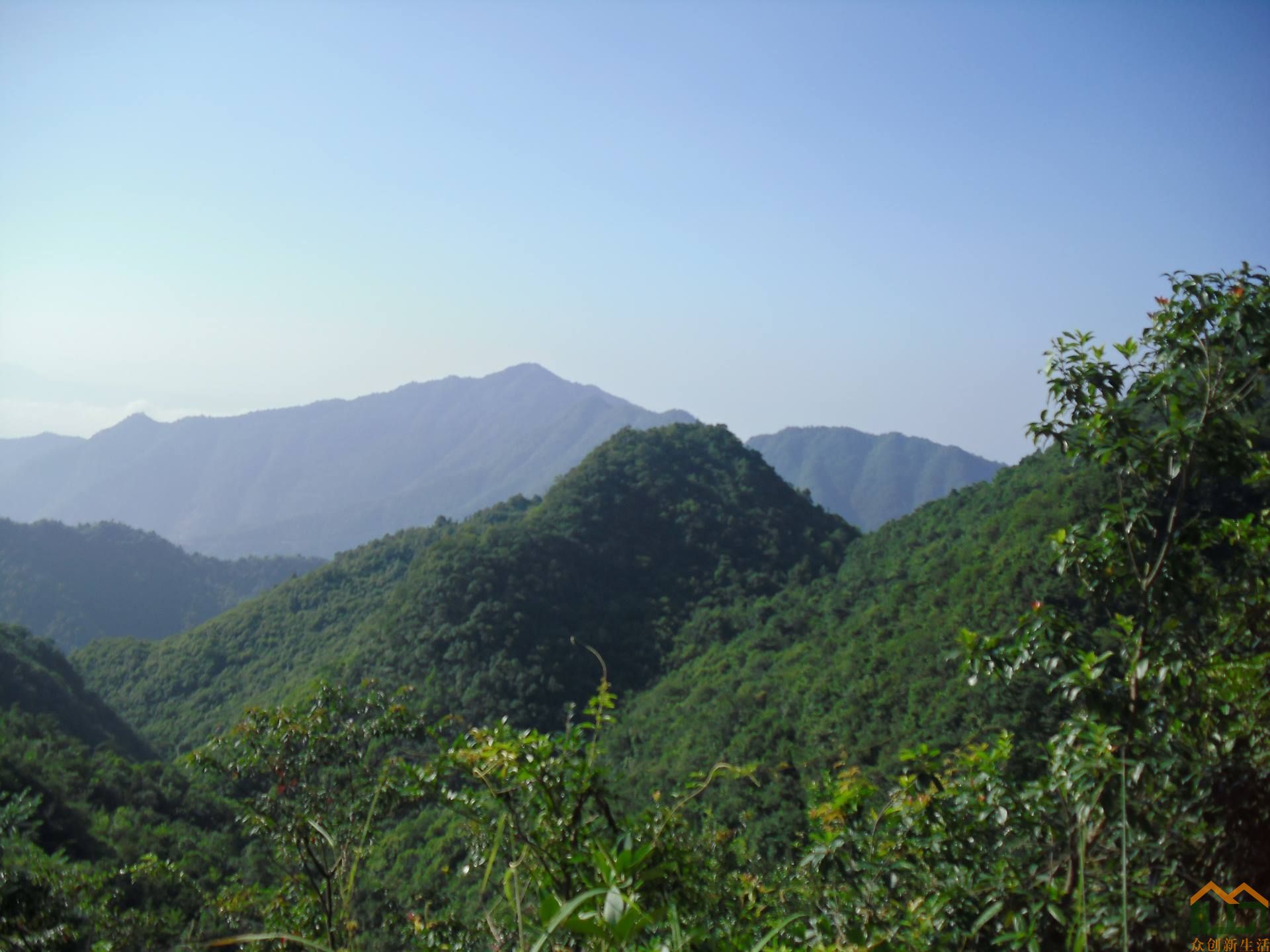 青山独好，花香鸟语