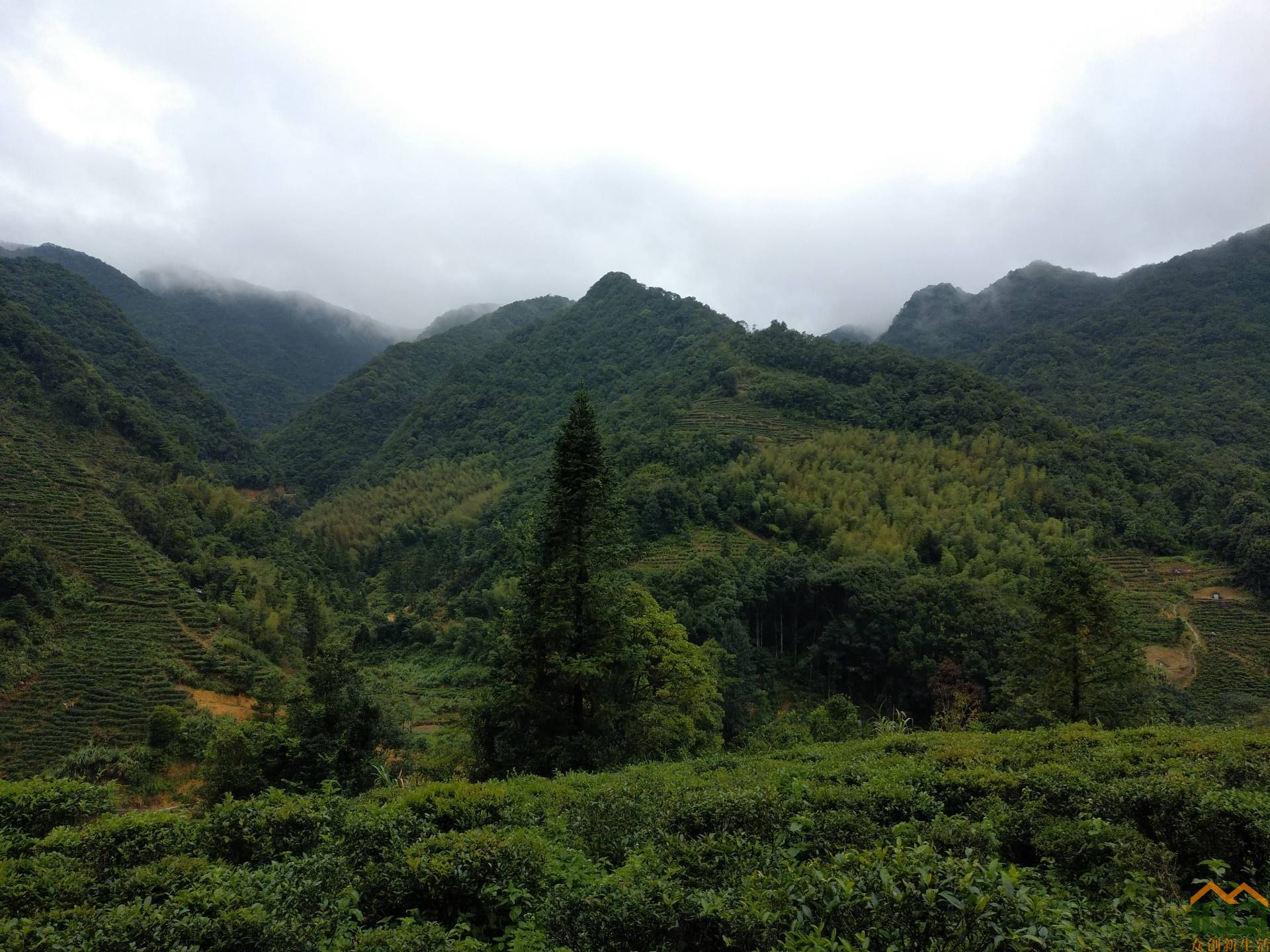 洋西坑的山山水水